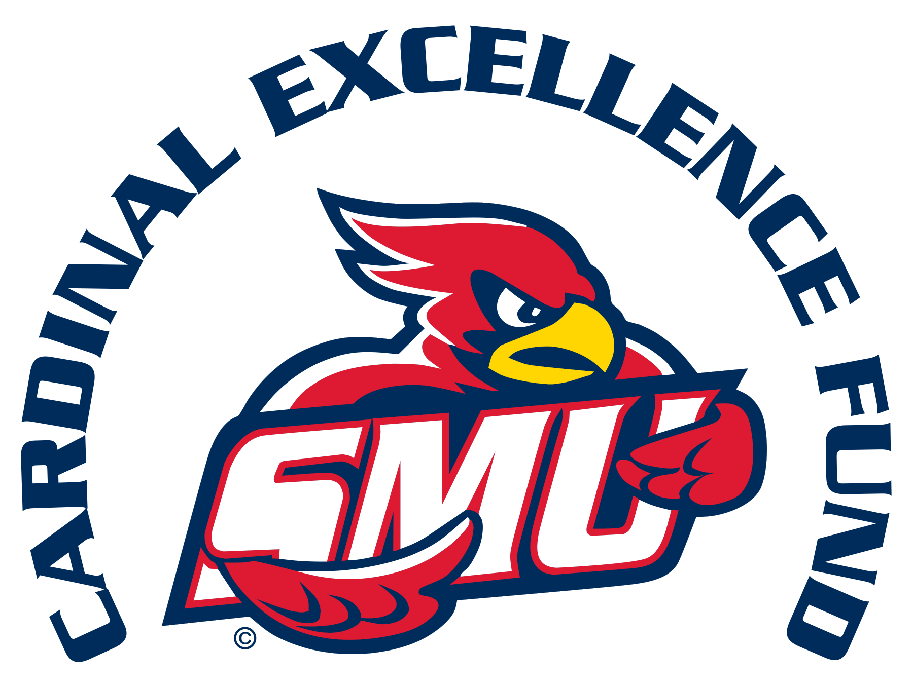 Cardinal Excellence Fund Graphic Blue